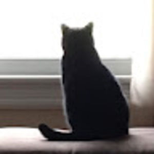 Meet your Posher, Lina